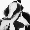 PREOCCUPATIONS