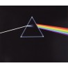 THE DARK SIDE OF THE MOON