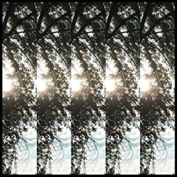 DIALECTIC OF IGNORANCE