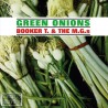 GREEN ONIONS