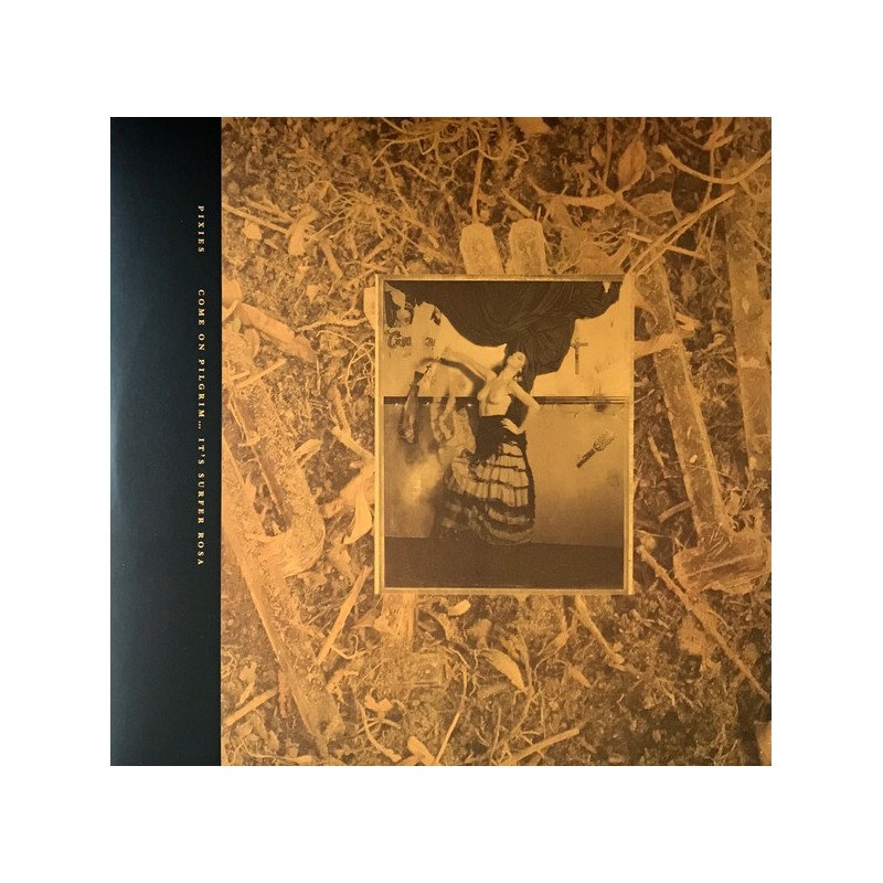 COME ON PILGRIM...IT'S SURFER ROSA