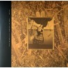 COME ON PILGRIM...IT'S SURFER ROSA