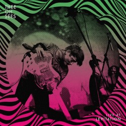 LIVE AT LEVITATION