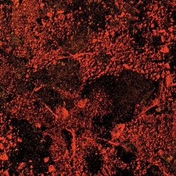 MURDER OF THE UNIVERSE...