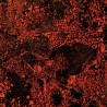 MURDER OF THE UNIVERSE (LIVE AT RED ROCKS 2022)